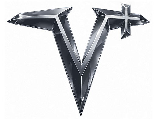 THE V+ silver master mark